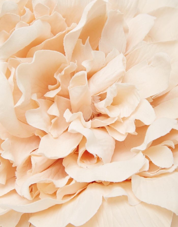 image2xxl